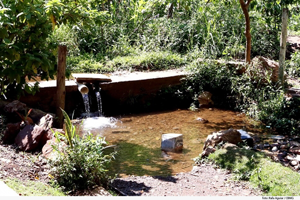 Preservação da Nascente da Vila Acaba Mundo: Um Exemplo de Sustentabilidade e Comunidade em Belo Horizonte